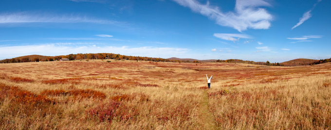 Fall Colors at Big Meadows, Shenandoah National Park