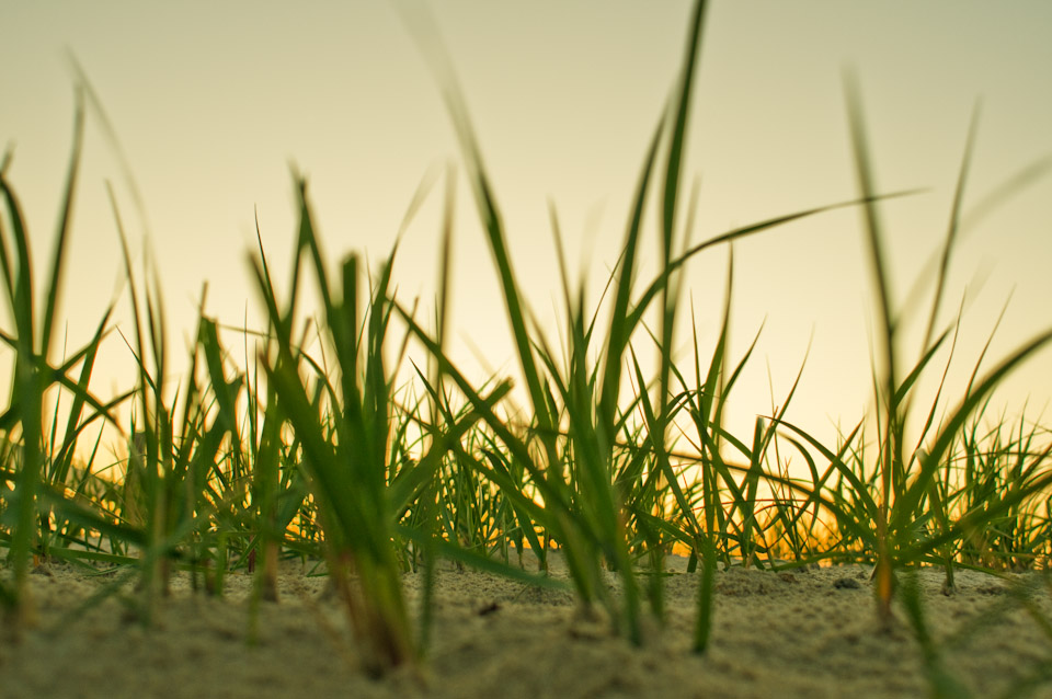 Assateague State Park, Maryland, MD, Beach, Camping