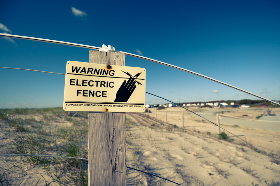 Assateague State Park, Maryland, MD, Beach, Camping